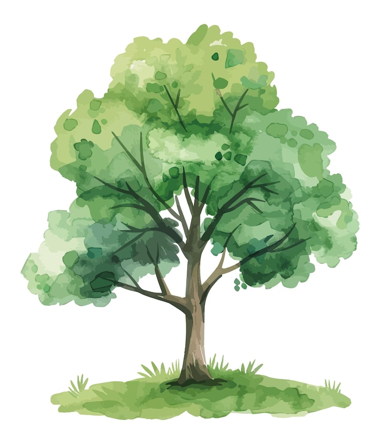 Vetor ilustração de uma árvore de aquarela