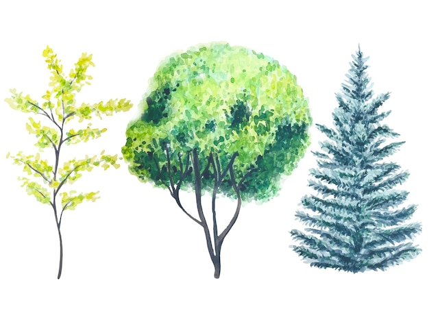 Ilustração de uma árvore pintada à mão em aquarela