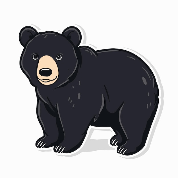 Vetor ilustração de urso