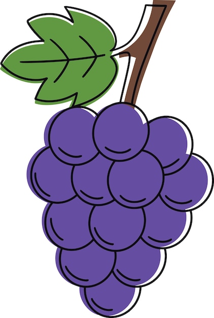 Vetor ilustração de uvas. estilo de desenho animado de uvas. conceito de fruta plana