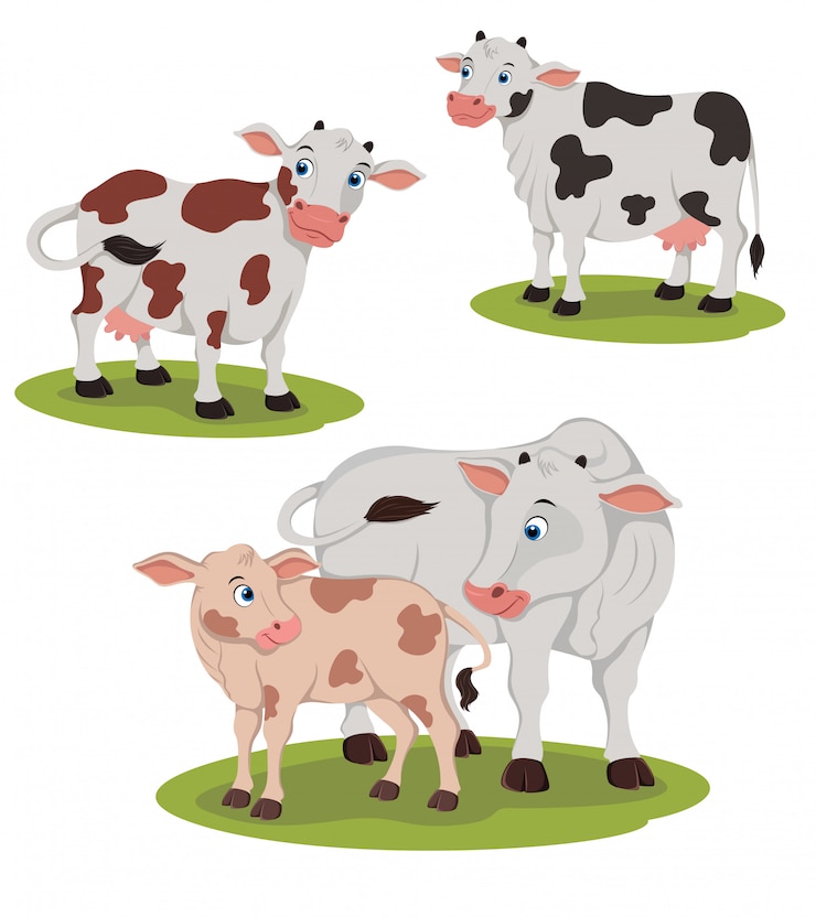 Vetor ilustração de vaca