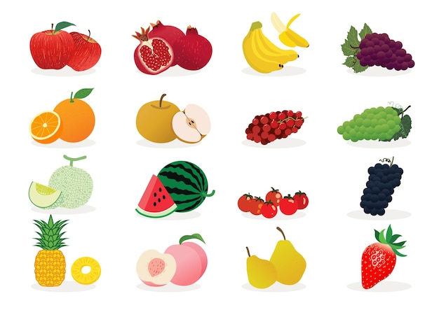 Ilustração de vários vetores de imagem de frutas