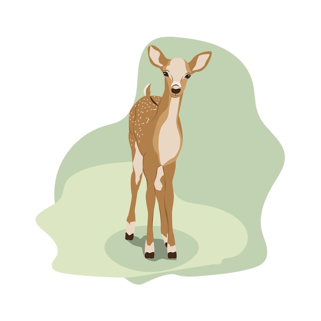 Vetor ilustração de veado bebê cervo whitetail