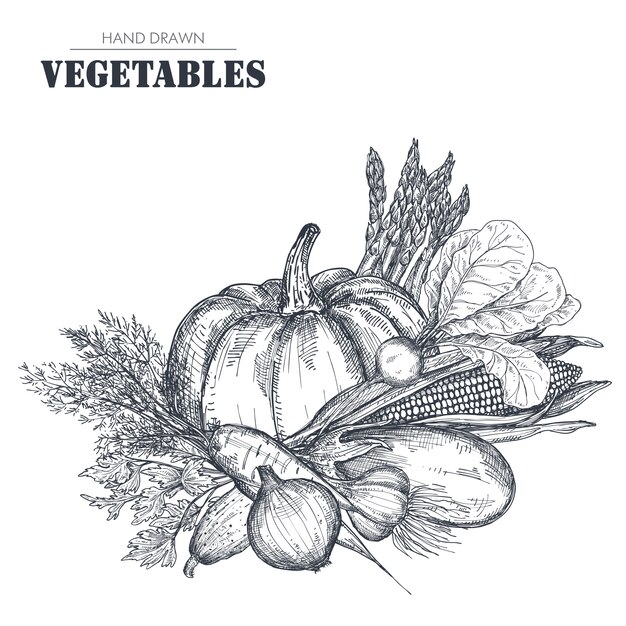 Ilustração de vegetais de fazenda mão desenhada no estilo de desenho.