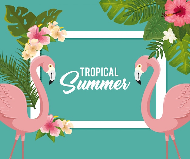 Ilustração de verão tropical com flamingos e flores