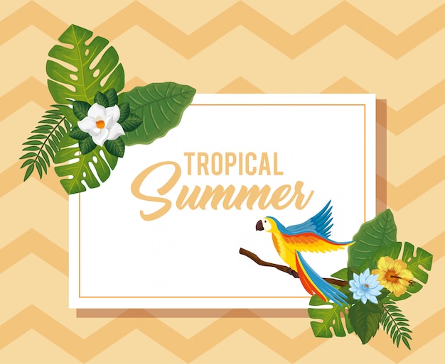 Ilustração de verão tropical com papagaio e flores