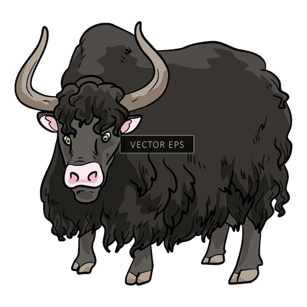 Vetor ilustração de vetor de animal selvagem de touro yak