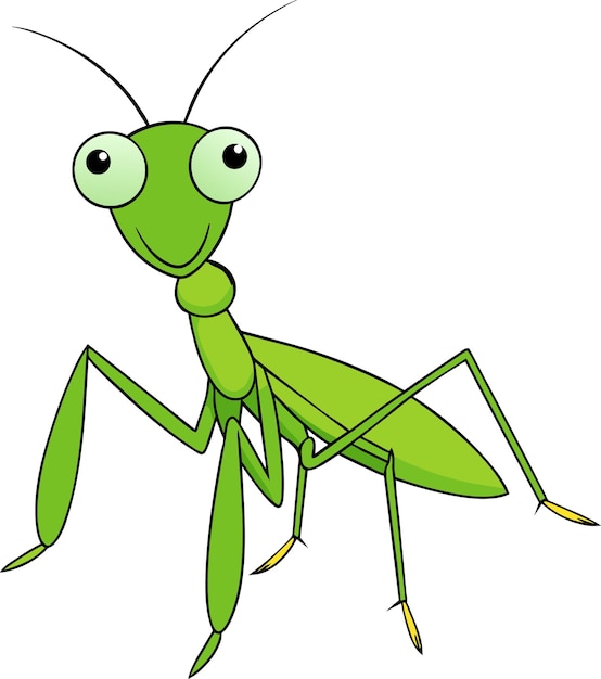 Vetor ilustração de vetor de mantis orando isolada em fundo branco