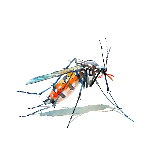 Ilustração de vetor de mosquito bonito em estilo aquarela