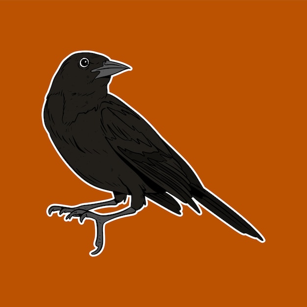 Ilustração de vetor de pássaro corvo isolado