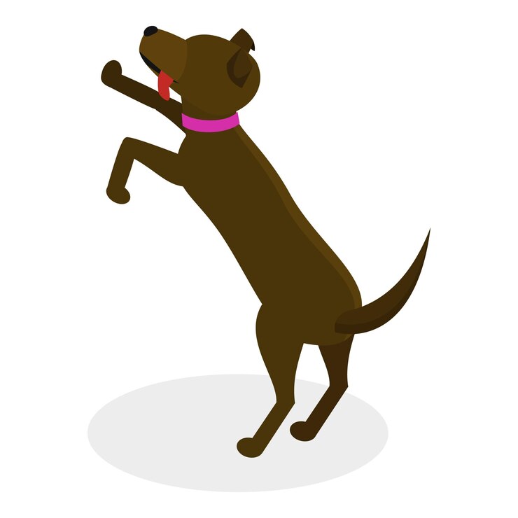 Vetor ilustração de vetor plano isométrico 3d do item 8 de cuidados com animais de estimação