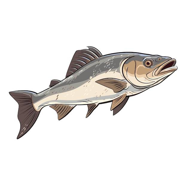 Vetor ilustração desenhada à mão de um peixe-hadoque de cor plana