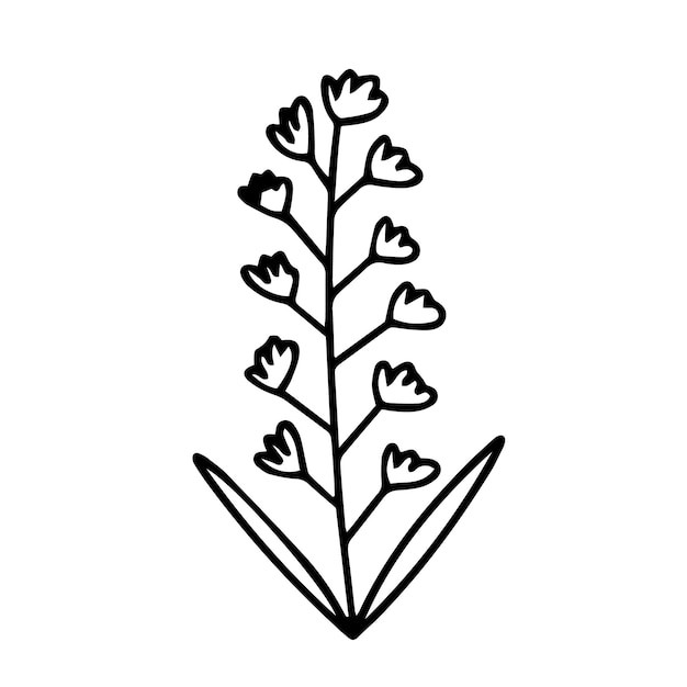 Ilustração desenhada à mão do lírio do vale Doodle lírio do vale esboço vetorial da flor