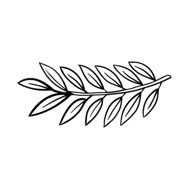 Vetor ilustração desenhada à mão doodle contorno ramo de planta