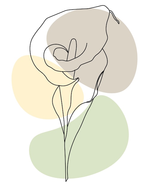 Ilustração desenhada calla flor contorno preto com a adição de manchas coloridas linha arte