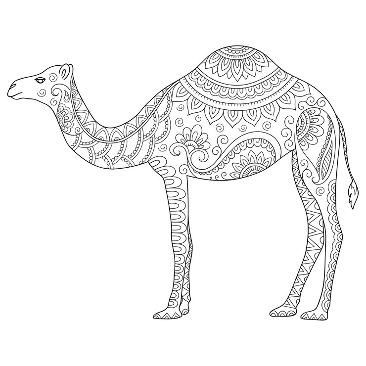 Ilustração desenhada mão doodle animal estilizado - camelo. Página para colorir.
