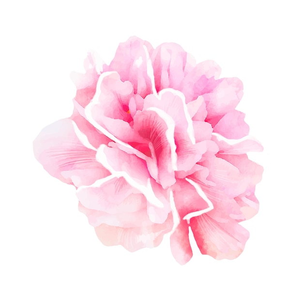 Ilustração detalhada de flores em aquarela Flor de primavera em aquarelas elegantes