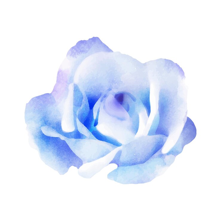 Vetor ilustração detalhada de flores em aquarela flor de primavera em aquarele elegante