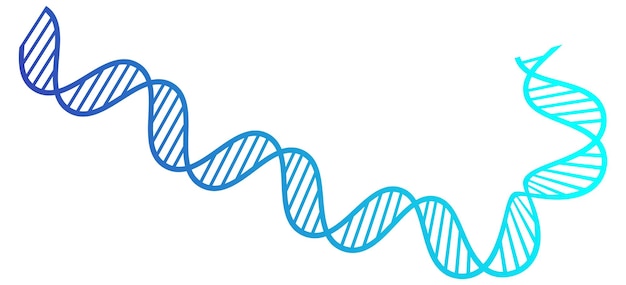 Ilustração do ácido desoxirribonucleico do DNA