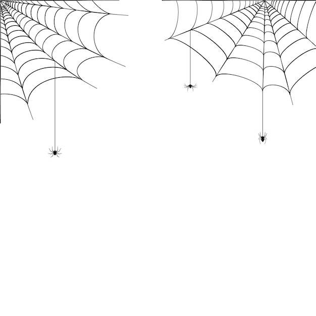Vetor ilustração do canto da teia de aranha. decoração de halloween com teia de aranha. vetor de teia de aranha simples