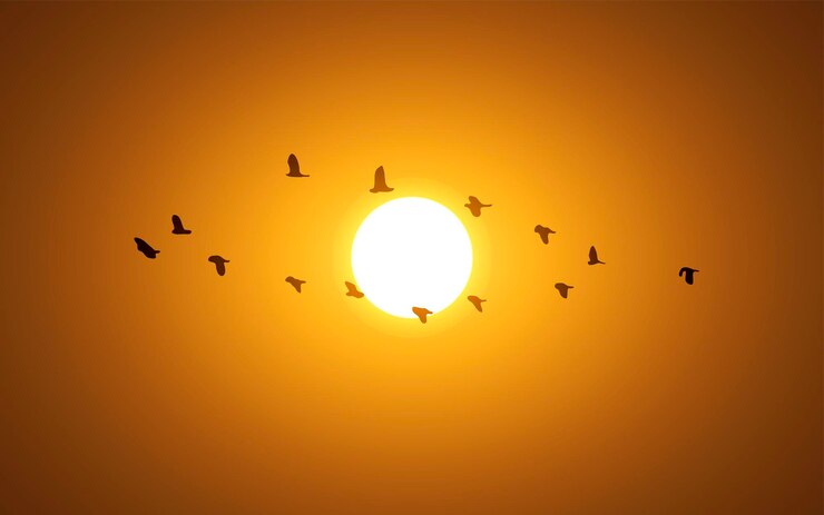 Vetor ilustração do céu por do sol com aves migratórias