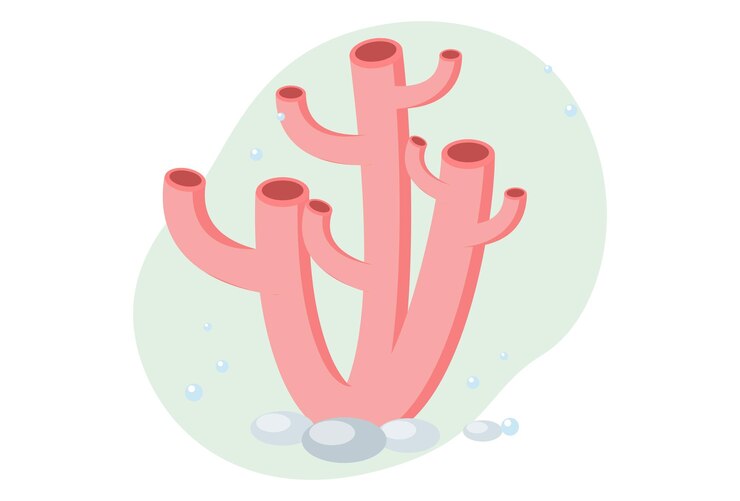 Vetor ilustração do conceito de coral elegante e bonita