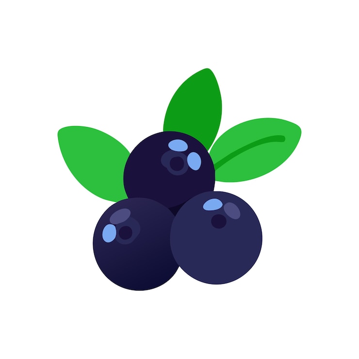 Vetor ilustração do conceito de frutas frescas