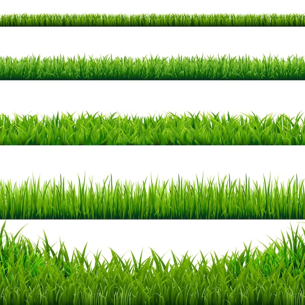 Ilustração do conjunto big grass borders