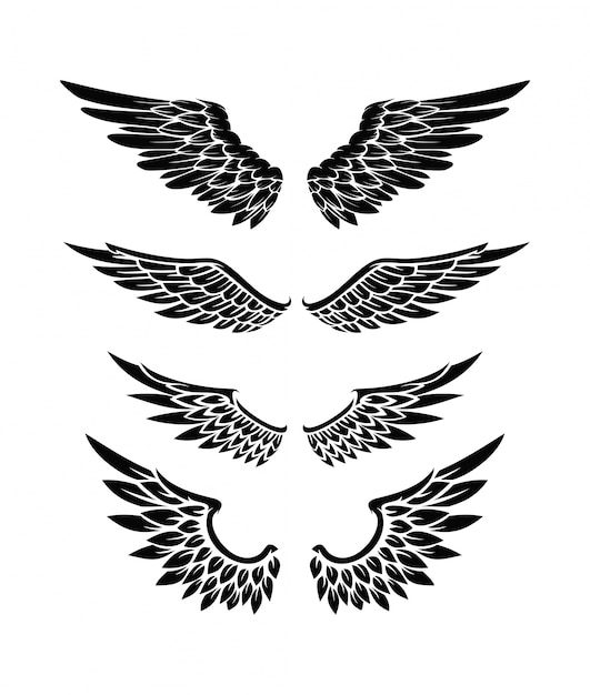 Ilustração do conjunto de coleções de asas