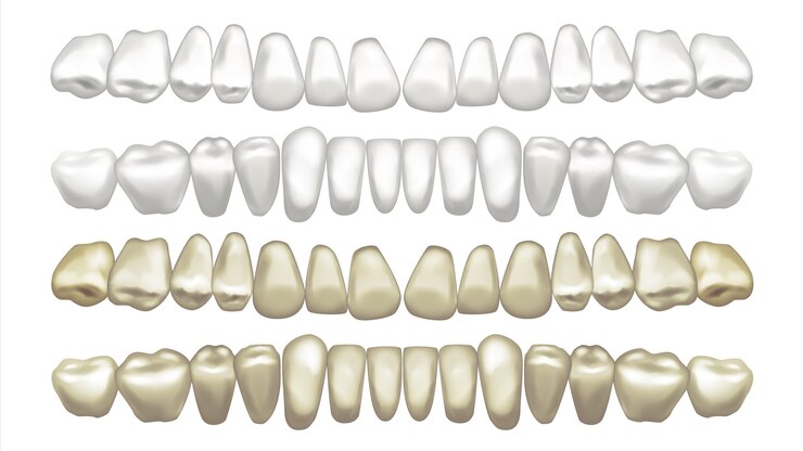 Vetor ilustração do conjunto de dentes