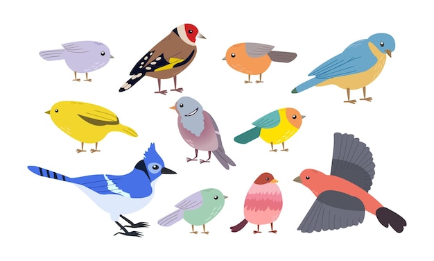 Vetor ilustração do conjunto de vetores birds de aves de primavera