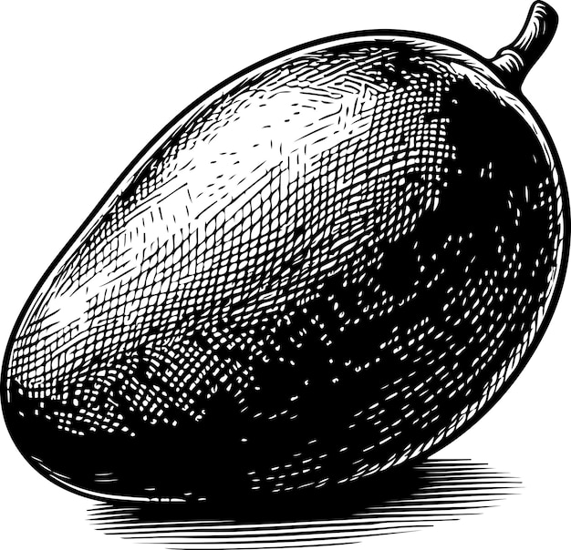 Ilustração do contorno preto da fruta da manga