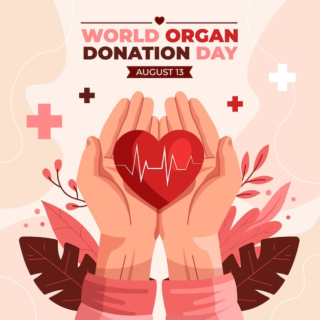 Ilustração do dia da doação de órgãos do mundo plano com as mãos segurando um coração