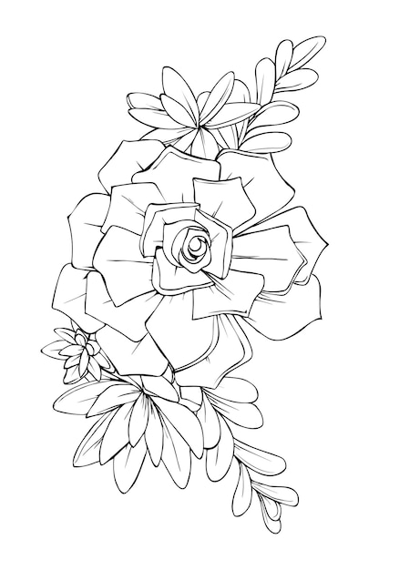 Ilustração do elemento decorativo gráfico das flores suculentas preto e branco