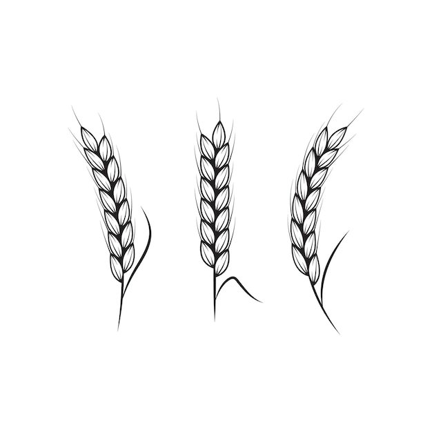Vetor ilustração do ícone do vetor de arroz agrícola