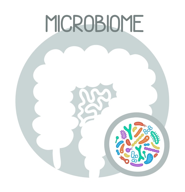 Ilustração do microbioma humano com intestinos e bactérias Vectorimagem gastroenterologista