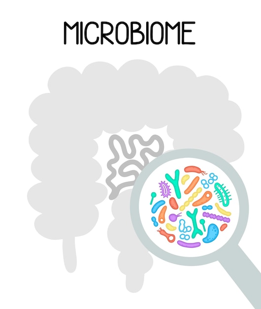 Ilustração do microbioma humano com intestinos e bactérias Vectorimagem gastroenterologista