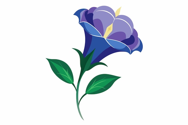 Vetor ilustração do vetor da flor de lisianthus