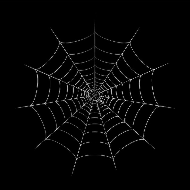 Vetor ilustração do vetor de teia de aranha. decoração de halloween com teia de aranha. gráfico de contorno de teia de aranha