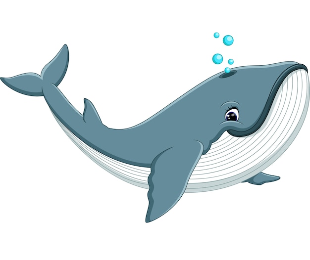 Vetor ilustração dos desenhos animados de baleia bonito