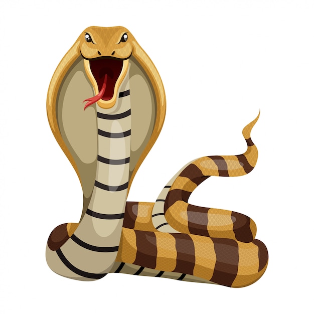 Ilustração de Cobra cobra desenho animado imagem vetorial de  hermandesign2015@gmail.com© 130092770