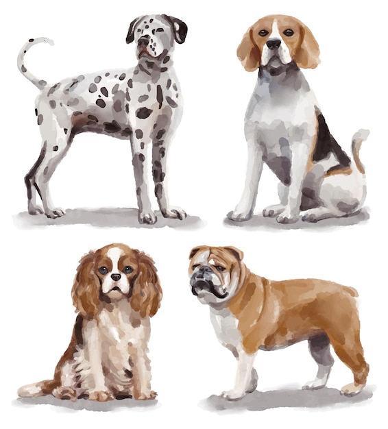 Vetor ilustração em aquarela com diferentes raças de cães - dálmata, beagle, king charles spaniel