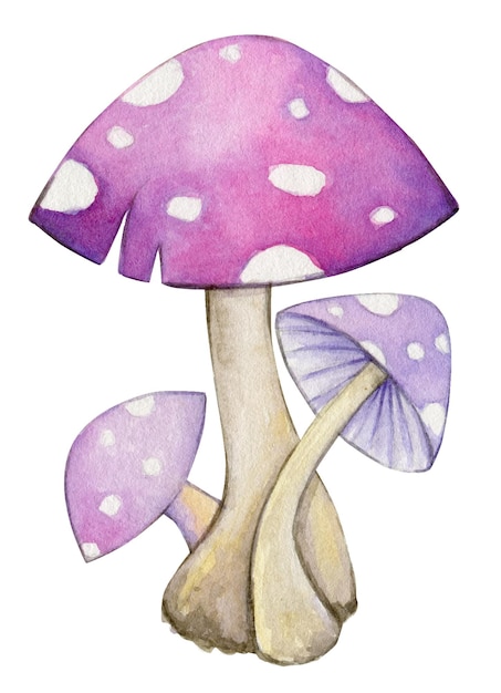 Vetor ilustração em aquarela de cogumelos estilo de desenho animado de cogumelo mágico em um fundo isolado