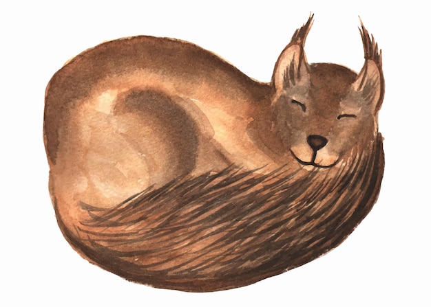 Ilustração em aquarela de esquilo dormindo