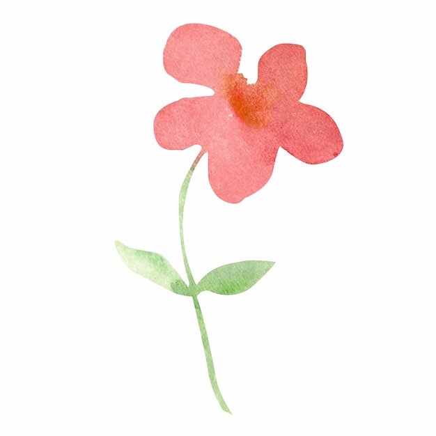 Ilustração em aquarela de flores silvestres