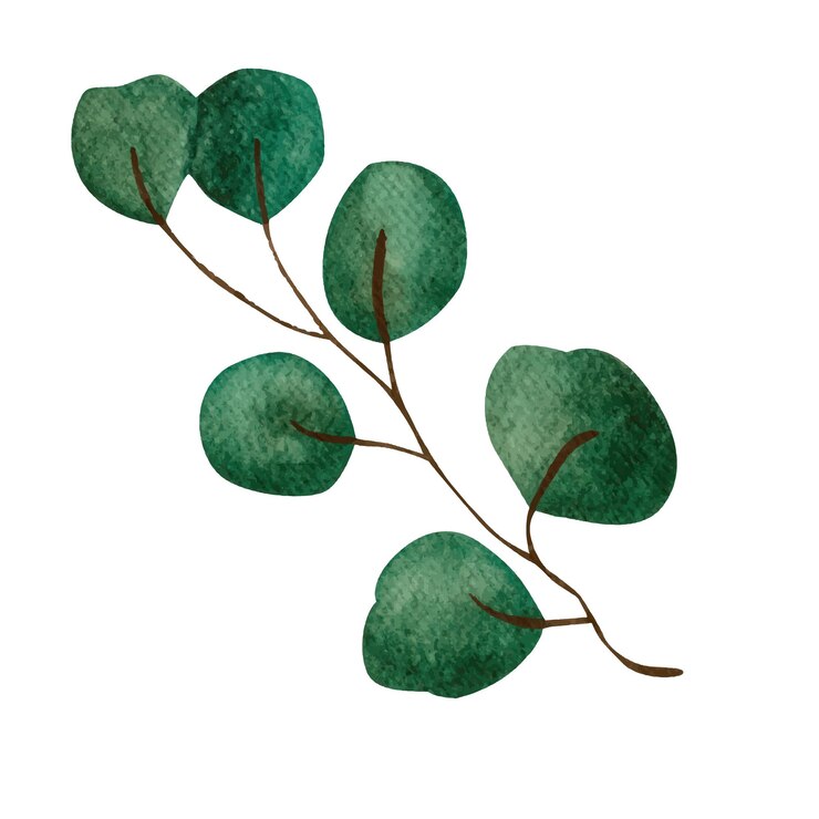 Ilustração em aquarela de galhos e folhas verdes