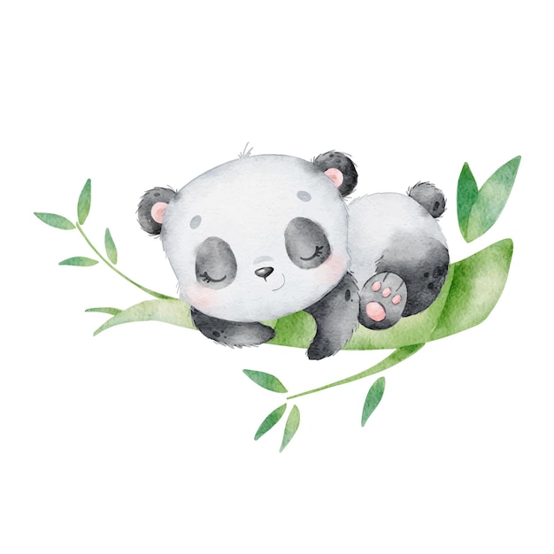 Ilustração em aquarela de um panda de desenho animado dormindo Animais fofos