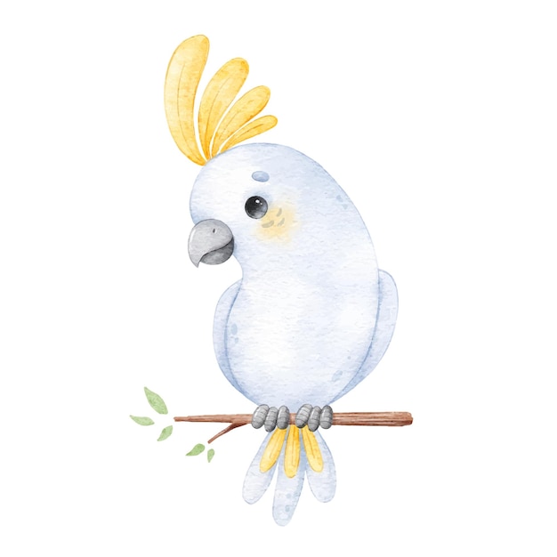 Vetor ilustração em aquarela de um papagaio de desenho animado aves tropicais animais bonitos em aquarela