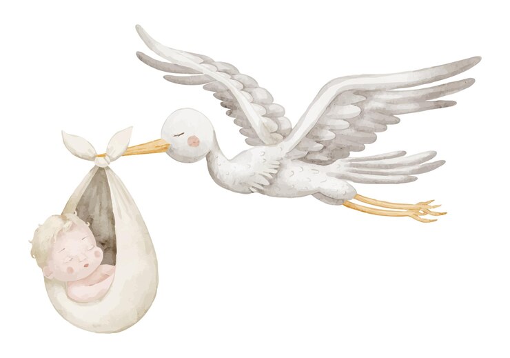 Vetor ilustração em aquarela de uma cegonha voadora carregando um bebê recém-nascido em um feixe de pano macio desenho de