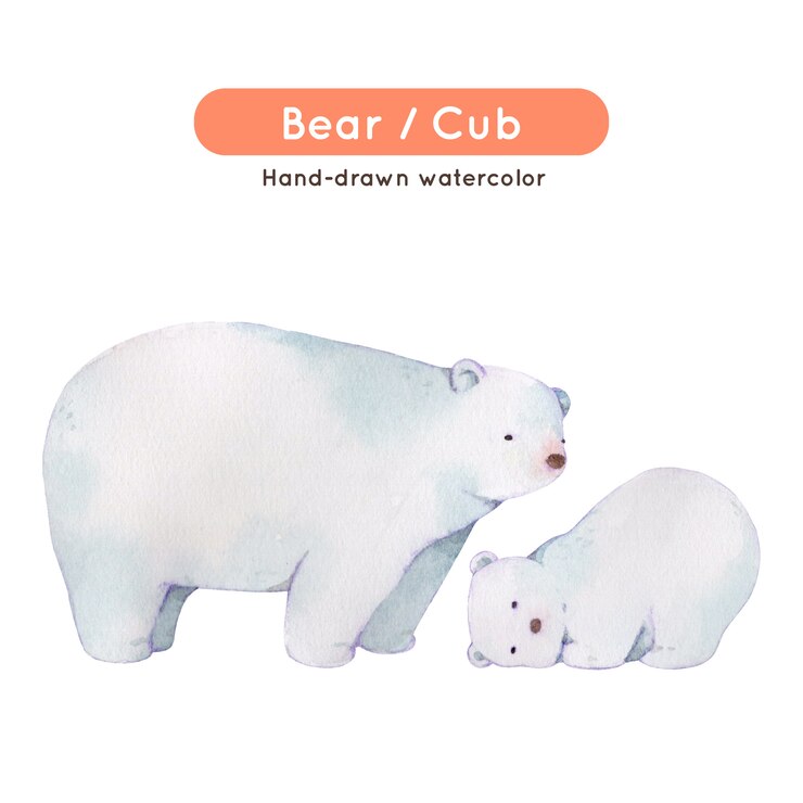 Vetor ilustração em aquarela de urso polar